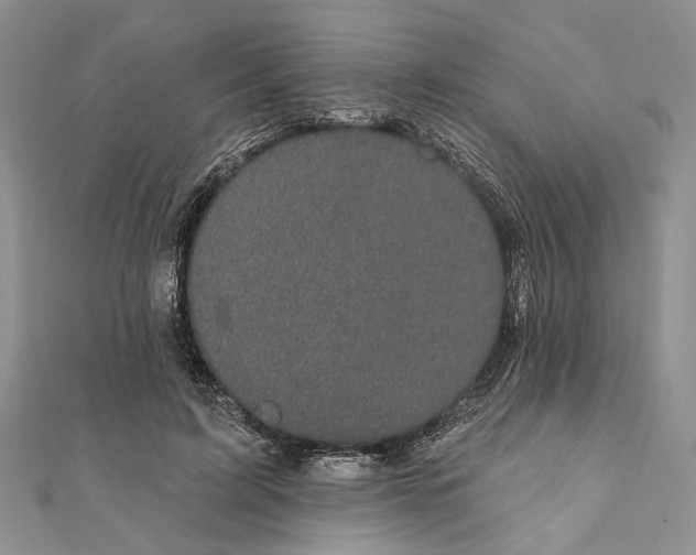 X0000111910595200908101202