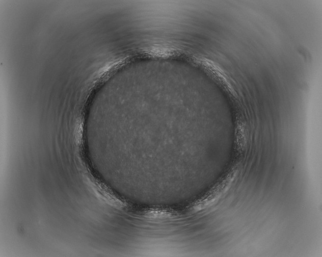 X0000111910596200908101202