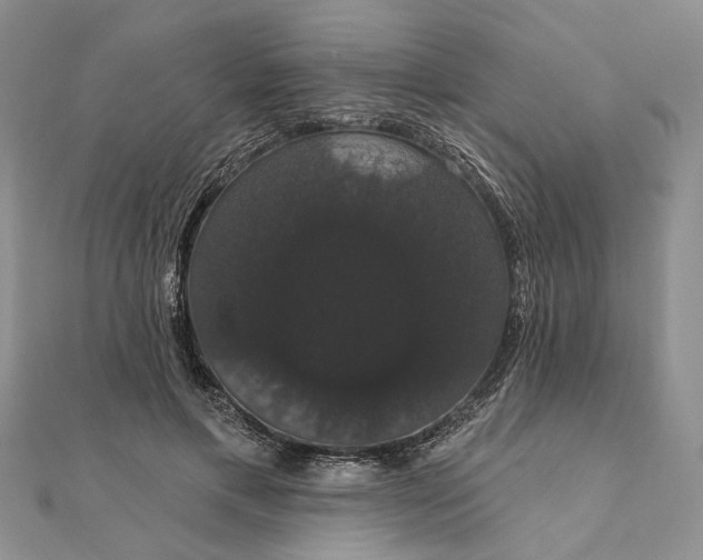 X0000111910597200908101202