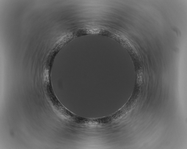 X0000111910598200908101202