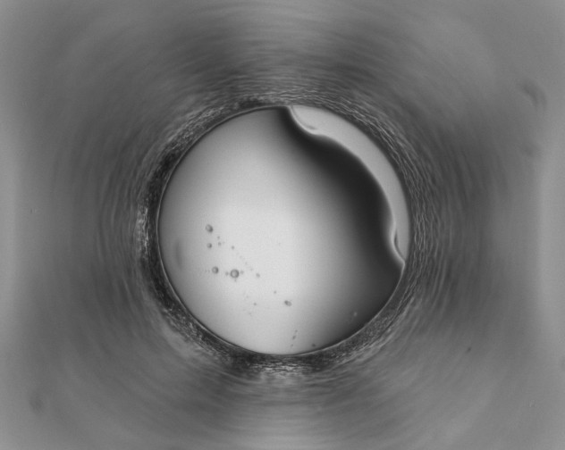 X0000111910599200908101202