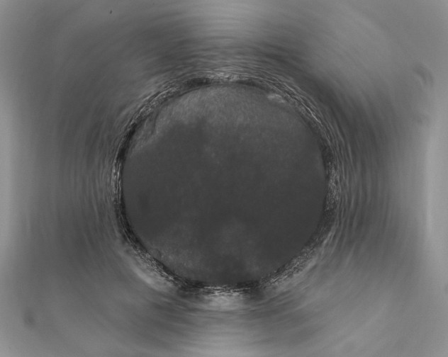 X0000111910601200908101202