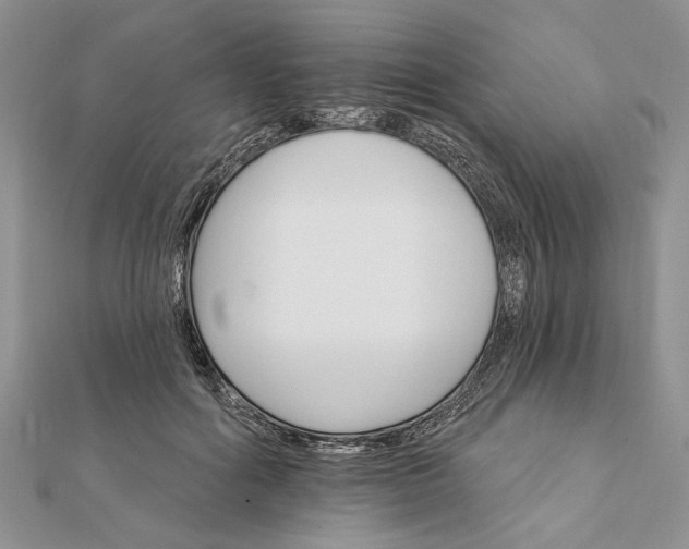 X0000111910602200908101202