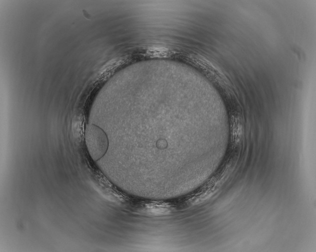 X0000111910603200908101202