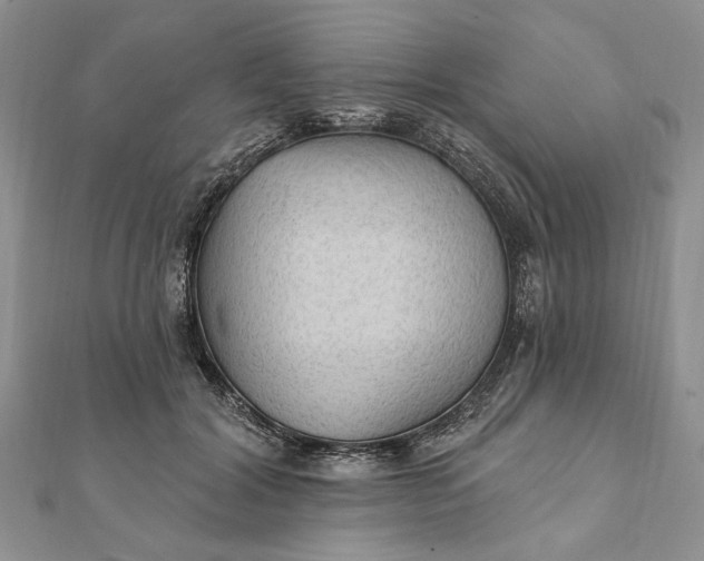 X0000111910604200908101202