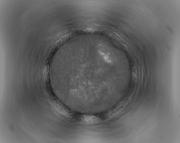 X0000111910605200908101202