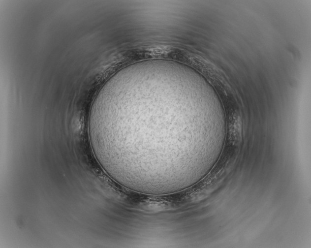 X0000111910608200908101202