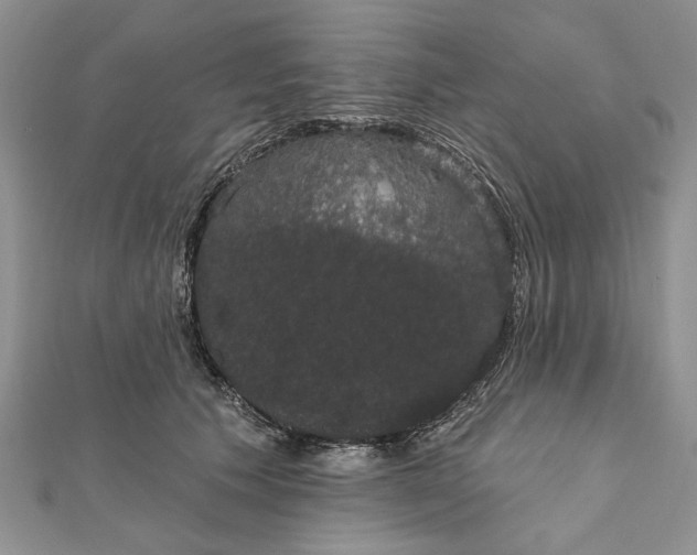 X0000111910609200908101202