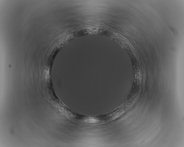 X0000111910610200908101202