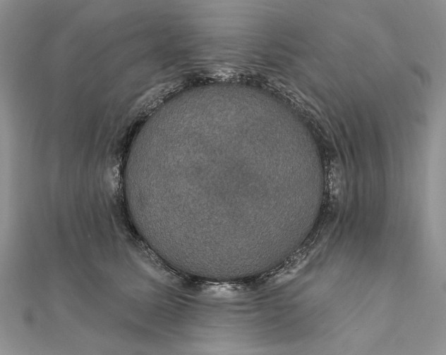 X0000111910611200908101202