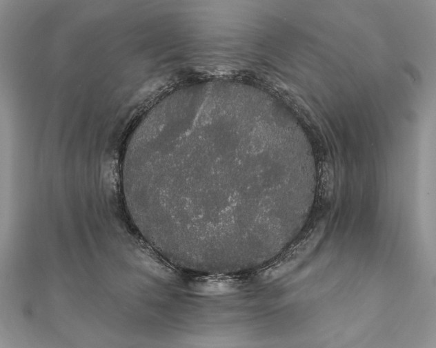 X0000111910612200908101202