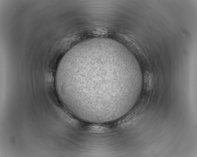 X0000111910614200908101202