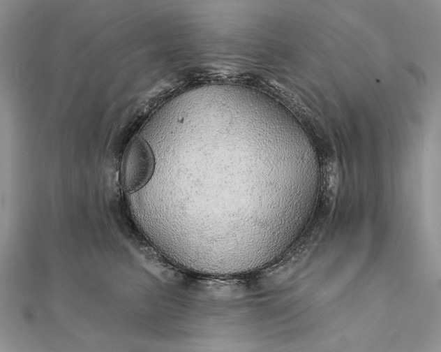 X0000111910615200908101202