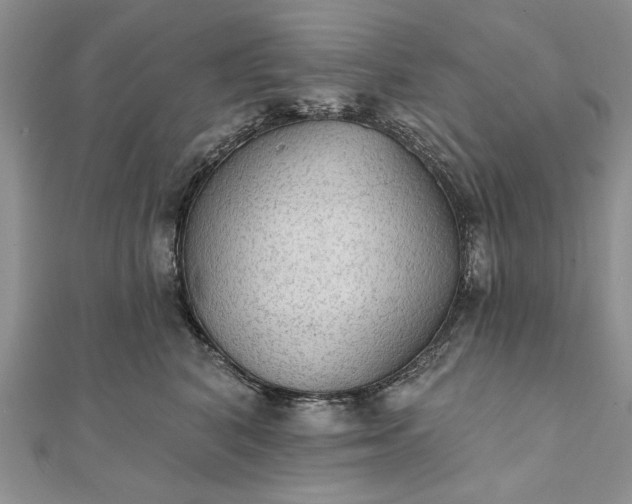 X0000111910616200908101202