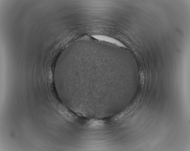 X0000111910617200908101202