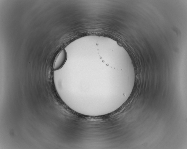 X0000111910619200908101202