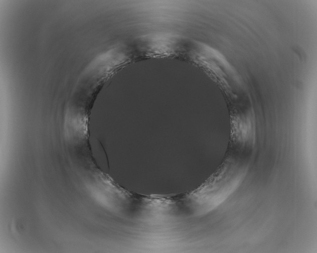 X0000111910621200908101202