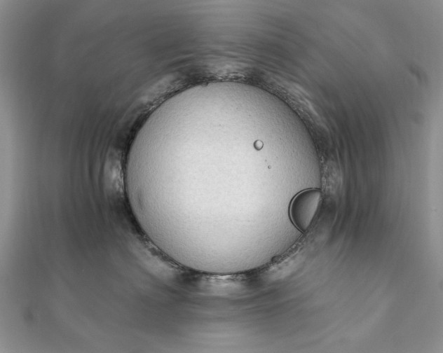 X0000111910622200908101202