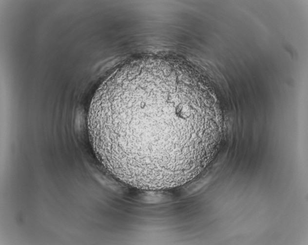 X0000111910623200908101202