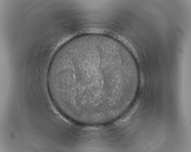 X0000111910625200908101201