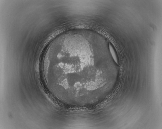 X0000111910626200908101201