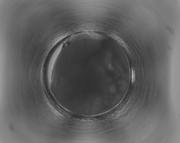 X0000111910627200908101201