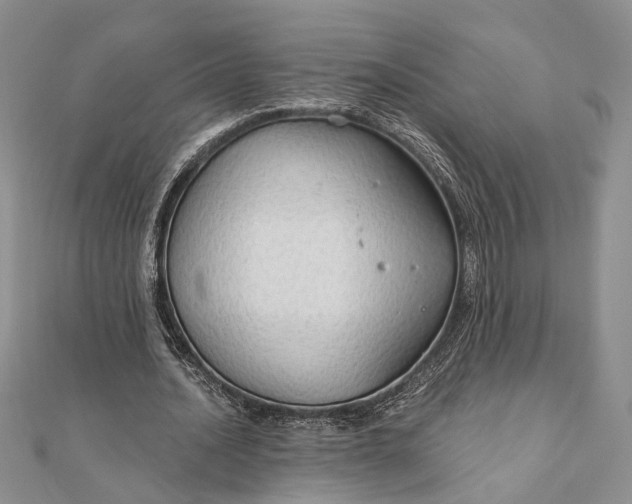 X0000111910628200908101201