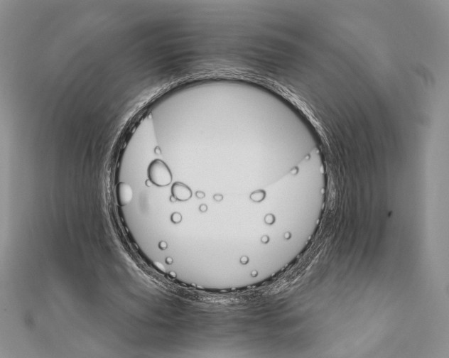 X0000111910629200908101201