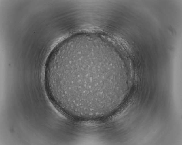 X0000111910630200908101201