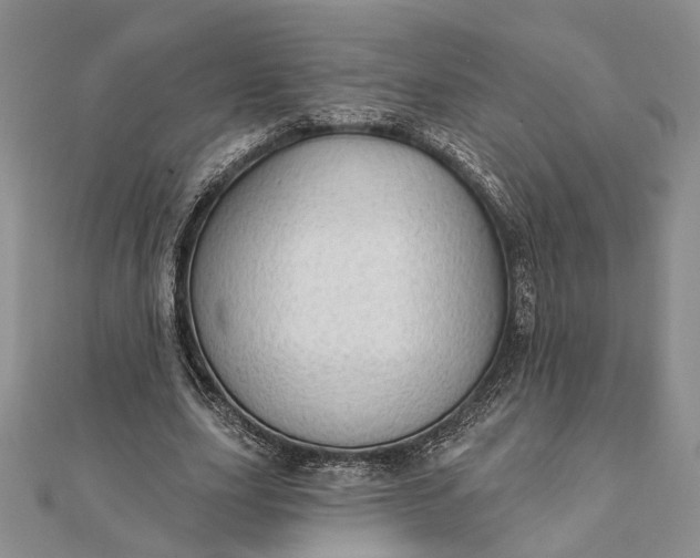 X0000111910631200908101201