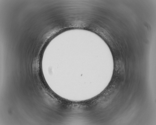 X0000111910632200908101201