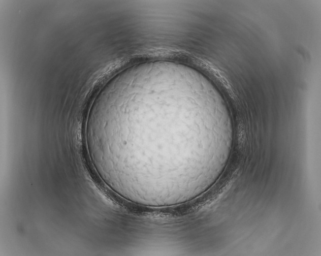 X0000111910633200908101201