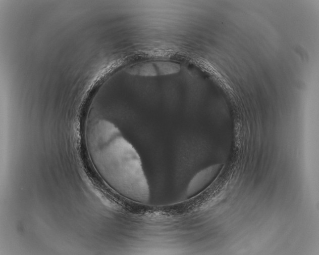 X0000111910634200908101201