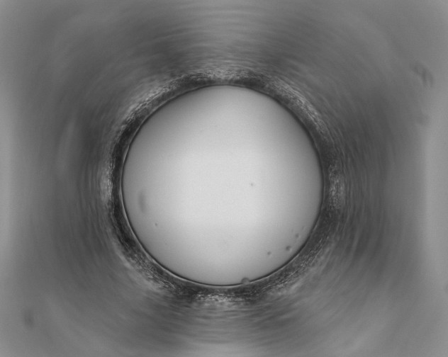 X0000111910635200908101201