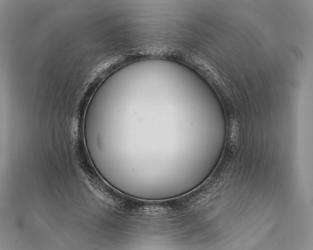 X0000111910636200908101201