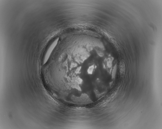 X0000111910637200908101201