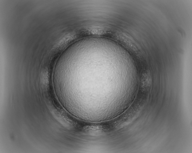 X0000111910639200908101201