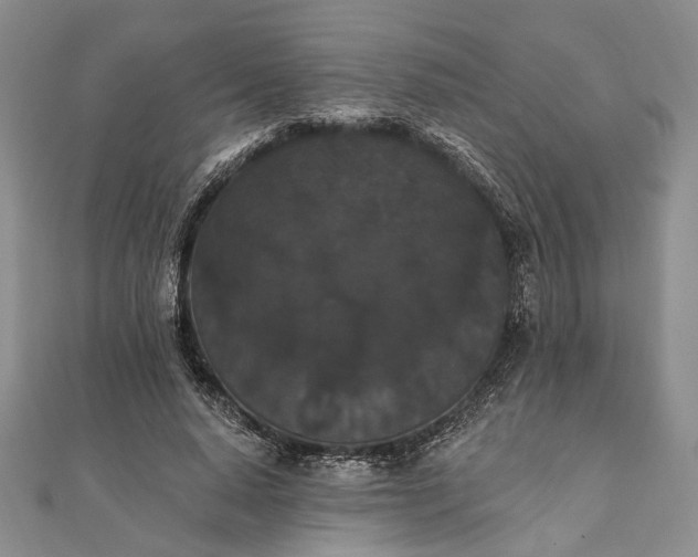 X0000111910640200908101201