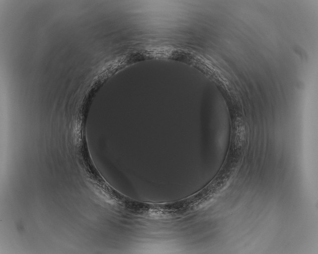 X0000111910641200908101201