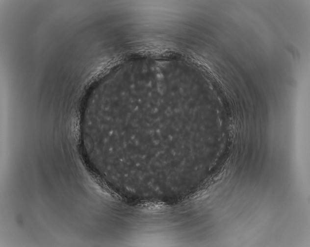 X0000111910642200908101201