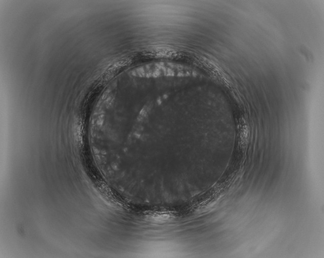 X0000111910643200908101201