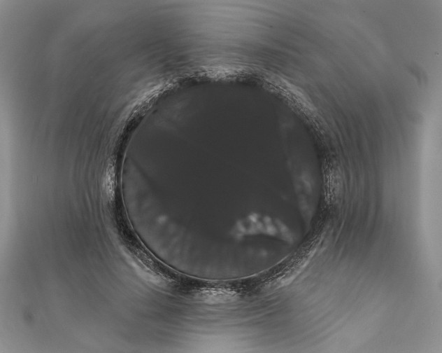 X0000111910644200908101201