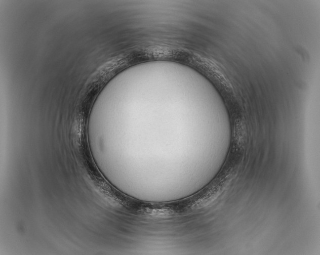 X0000111910645200908101202