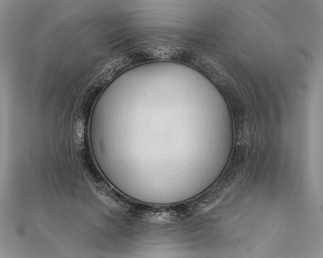 X0000111910646200908101202