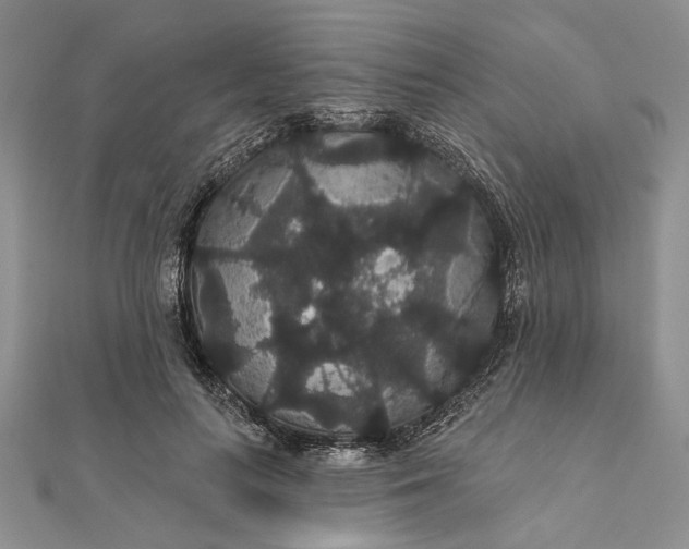 X0000111910647200908101202