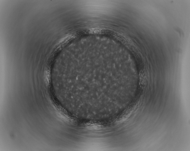 X0000111910648200908101202