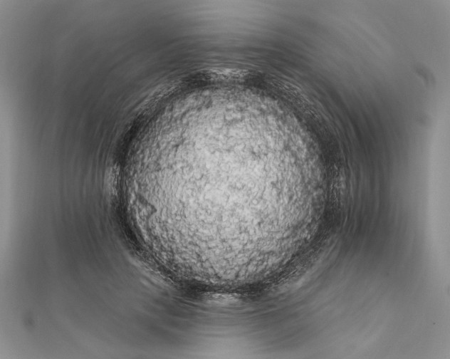 X0000111910649200908101202