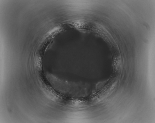 X0000111910650200908101202