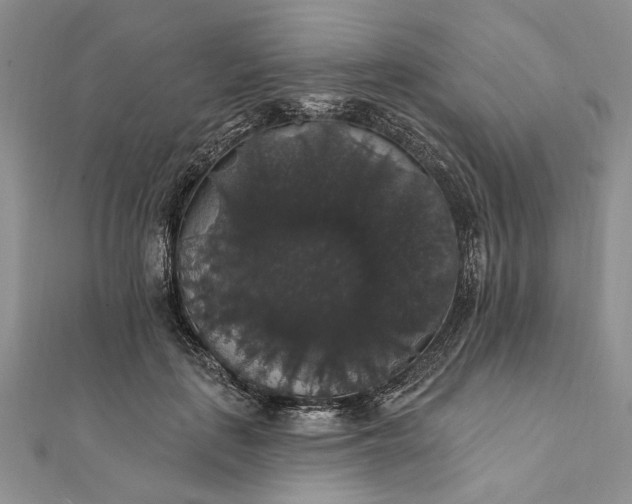 X0000111910651200908101202