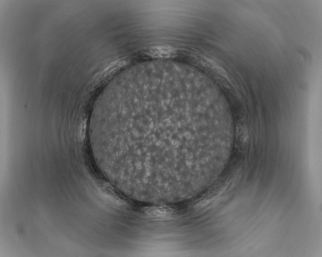 X0000111910652200908101202